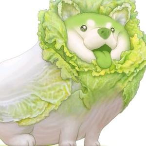 少坤
