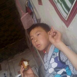 书虫