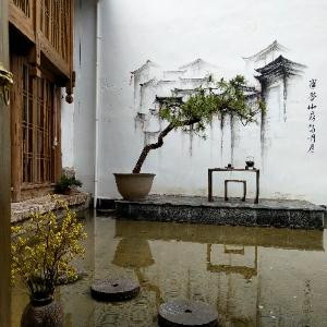 表停
