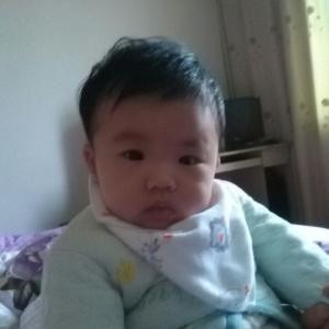 坏蛋鱼