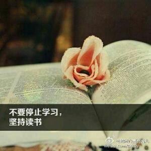 翠绿的凤凰