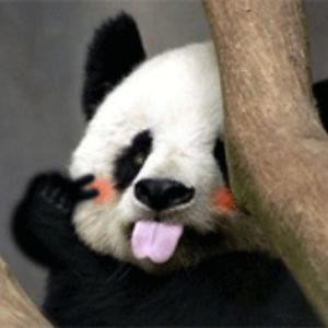 月下风寒