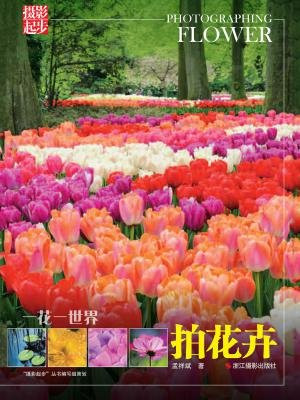 一花一世界：拍花卉