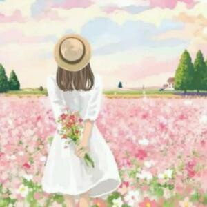 我在等风等你来
