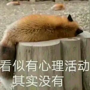 了A了