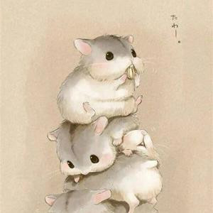 蝶梦