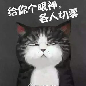馨宝