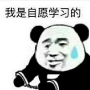 窝似自愿学习地