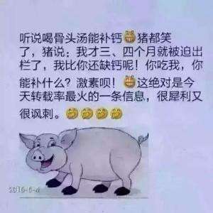 乌龟漫