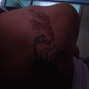 你好我叫张小韩