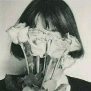 糖果屋里的糖果