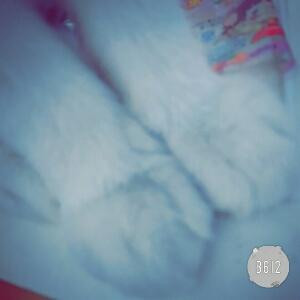 josam