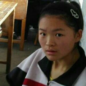 李维嘉