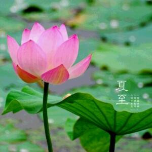 知书达礼