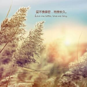 悦悦子