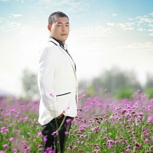 枫之林