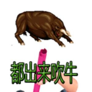 月v绝影12