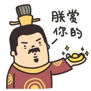 橙子君
