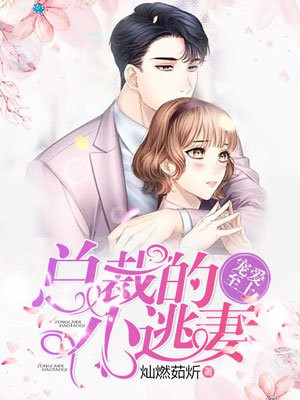 宠爱至上，总裁的小逃妻