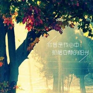 至尊