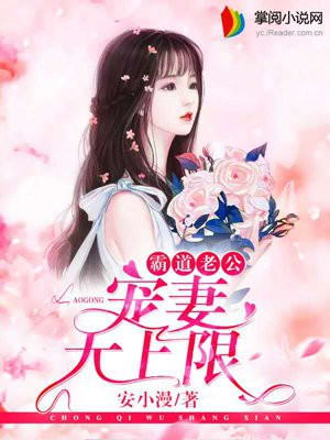 霸道老公宠妻无上限
