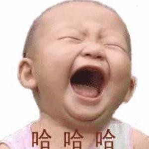 书虫