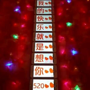 龙少爷