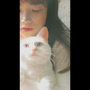 三巡的拐杖