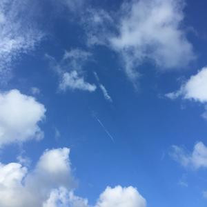 星星读者