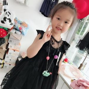 小琴