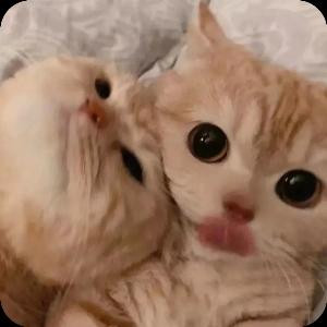 玺爱