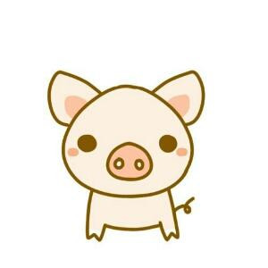 胖胖熊