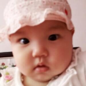 我是一只小小鸟