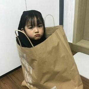 七崽