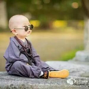 飘零的风