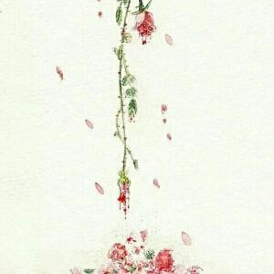 白暮落南