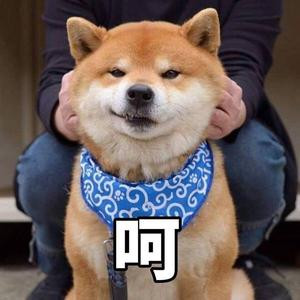 非橙勿扰