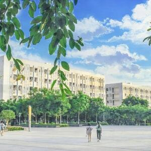 清浅