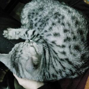 超脱永恒