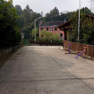 冷漠也有他的美