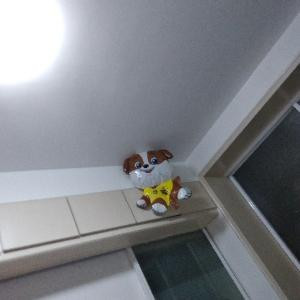 飞翔