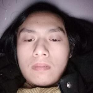 文新
