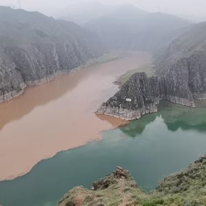 青春随影