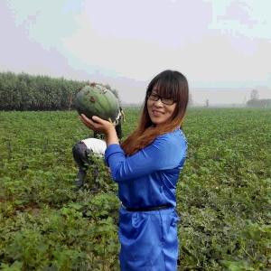 淡雅如玉