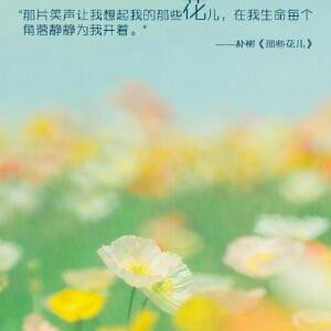相遇淡若云烟