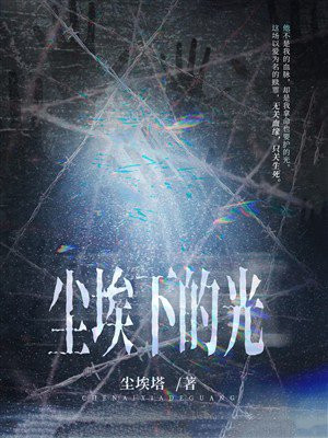 尘埃下的光