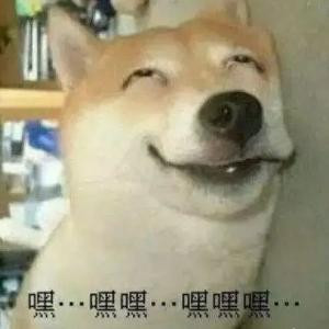 彼岸花开