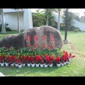 青春无悔OK