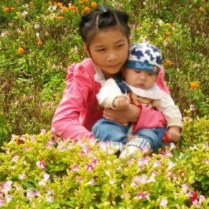 又见花开，又见你