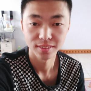 龙